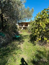 Casa grezza + terreno