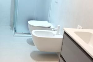 Singola gambara bande nere