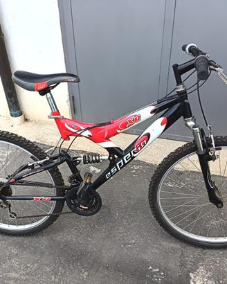 Mountain-bike