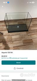 Acquario
