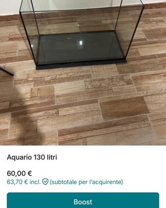 Acquario