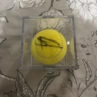 Pallina da tennis autografata da Alcaraz