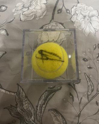 Pallina da tennis autografata da Alcaraz