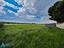 Immagine 23