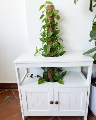 Mobile sotto lavabo da esterno / giardino