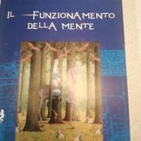 Il funzionamento della mente