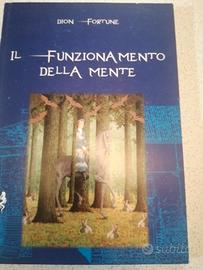 Il funzionamento della mente