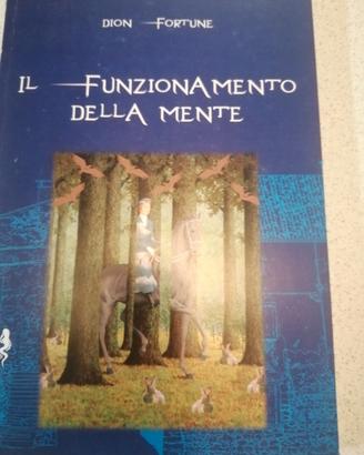 Il funzionamento della mente