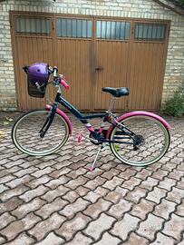 bicicletta rosa e blu