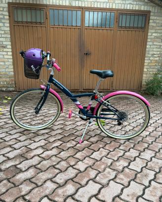 bicicletta rosa e blu