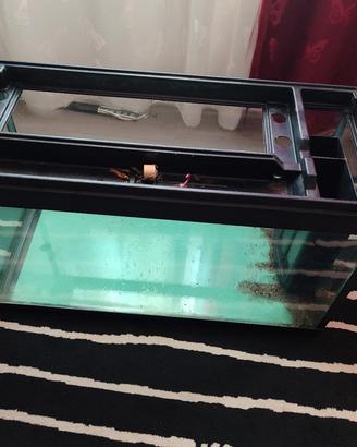  acquario 100 L
