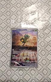 ogerpon maschera turchese promo scarlatto e violet