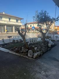 Pizzeria rosticceria da asporto