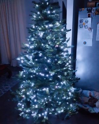 albero di natale