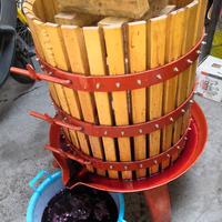 Attrezzatura per Vino e cantina