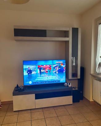 Smart tv SONY 55 pollici.