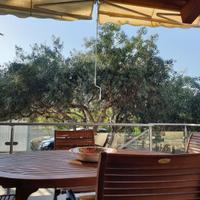 Casa vacanze al mare immersa nel verde