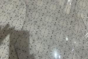 Scudo per Honda X adv 750