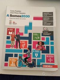 A Somos 2030 (Spagnolo)