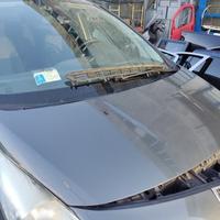 Cofano PEUGEOT 3008 del 2010