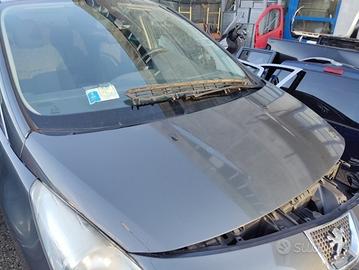Cofano PEUGEOT 3008 del 2010