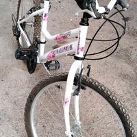 bicicletta MTB ragazza.