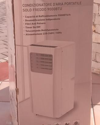 Condizionatore portatile