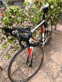 Scapin shindy
