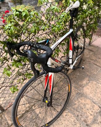 Scapin shindy
