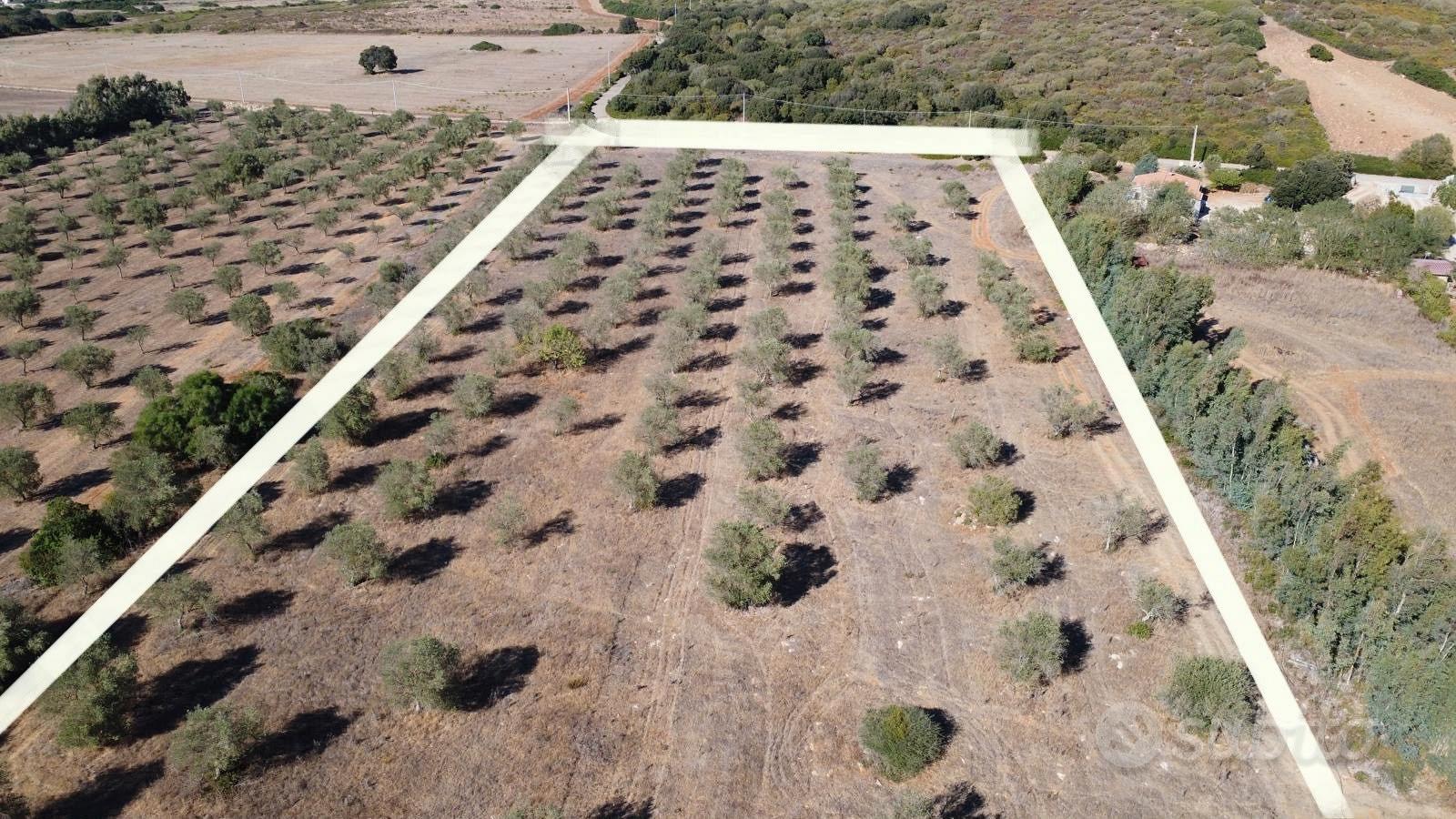 Terreno agricolo con uliveto - agro di sassari - Altro