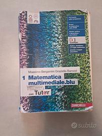 libro matematica 1 anno