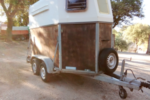 Rimorchio trasporto cavalli