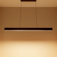 Astley Sklum Lampada da soffitto lineare a LED