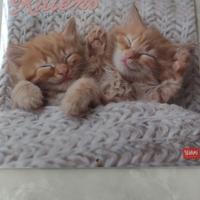 Calendario Legami Gattini -Kittens 2026