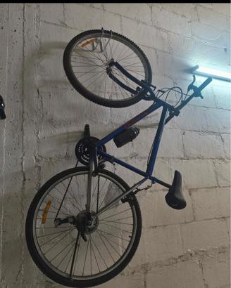 Bici 26