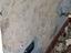 Immagine 24