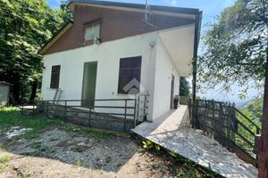 CASA INDIPENDENTE A MONTIGNOSO