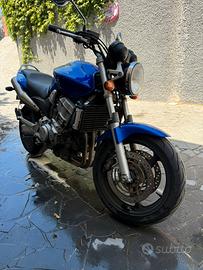 Hornet 900