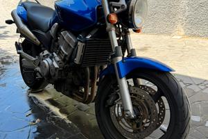 Hornet 900