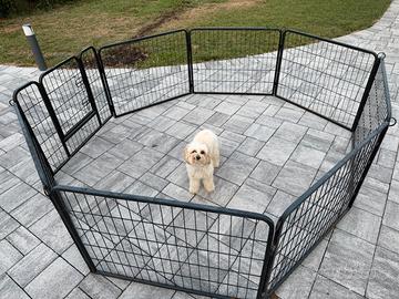Recinto per Animali Box per Cani, 8 Pannelli.