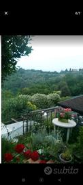 Appartamento in zona collinare