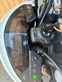 HONDA HORNET