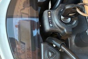 HONDA HORNET