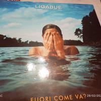 Vinile Ligabue Fuori come Va?