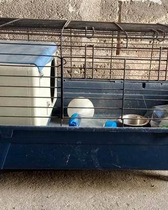 Gabbia coniglio o animali domestici 