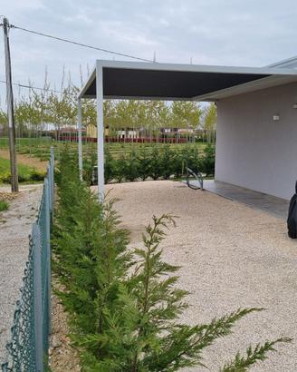 PERGOLA TELO FISSO ANTIGRANDINE mt. 4x4