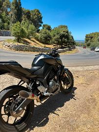 Yamaha MT 03 2026