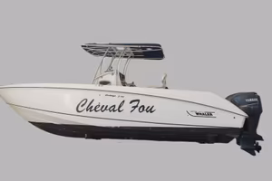 Boston Whaler Outrage 27