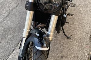 Benelli leoncino trail