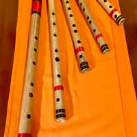 Bansuri indiani nuovissimi a Roma